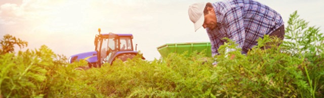 agricultural workers compensation 